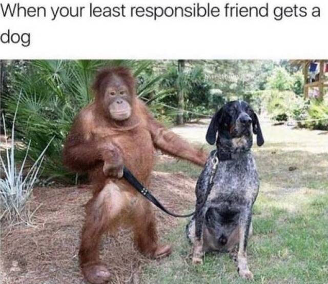 Bildschirmarbeiter - Picdump 17.01.2020