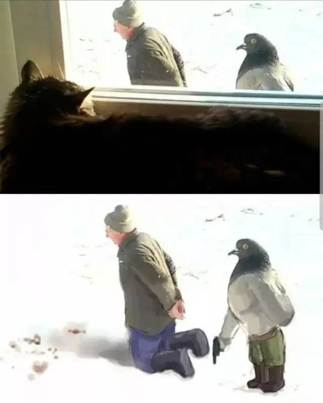 Bildschirmarbeiter - Picdump 17.01.2020