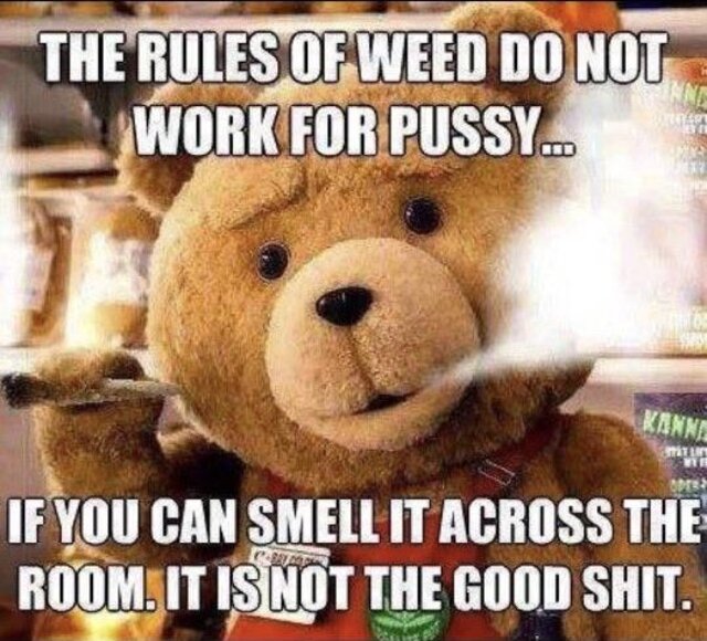 Bildschirmarbeiter - Picdump 17.01.2020