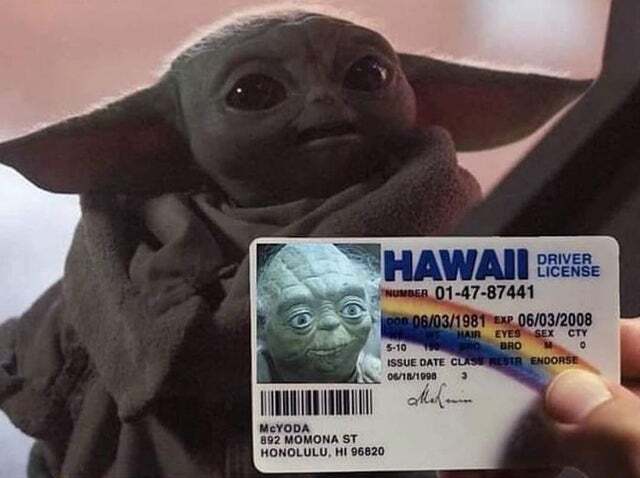 Bildschirmarbeiter - Picdump 24.01.2020