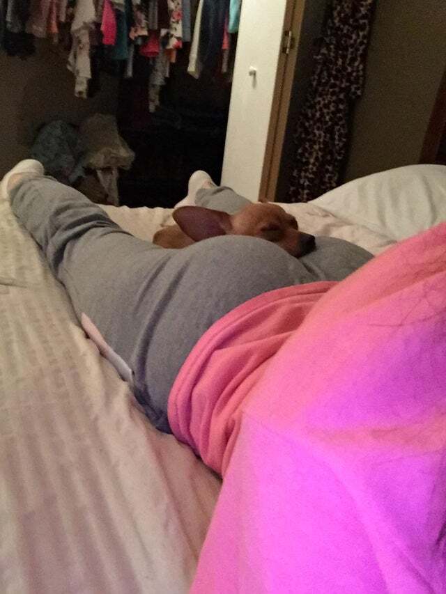 Bildschirmarbeiter - Picdump 24.01.2020