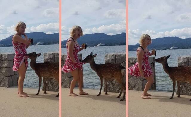 Bildschirmarbeiter - Picdump 24.01.2020