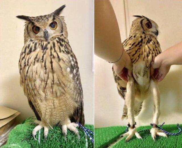 Bildschirmarbeiter - Picdump 24.01.2020