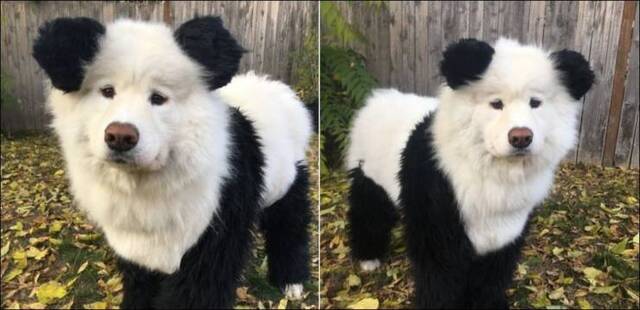 Bildschirmarbeiter - Picdump 24.01.2020