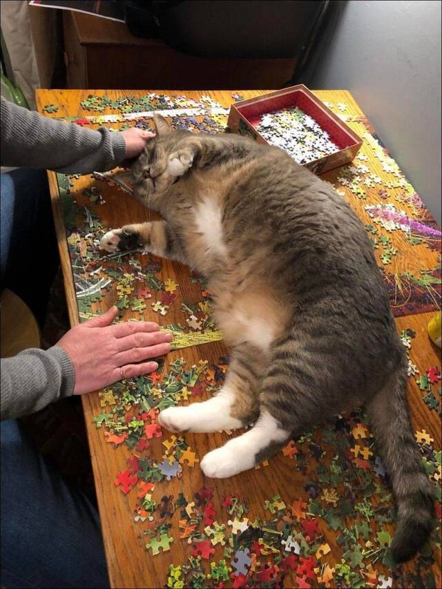 Bildschirmarbeiter - Picdump 24.01.2020