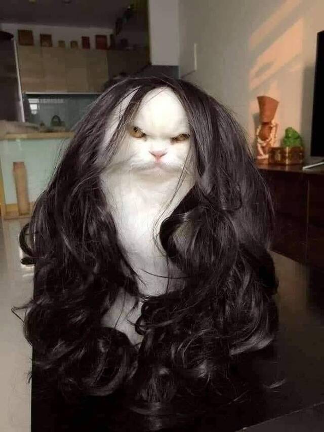 Bildschirmarbeiter - Picdump 24.01.2020