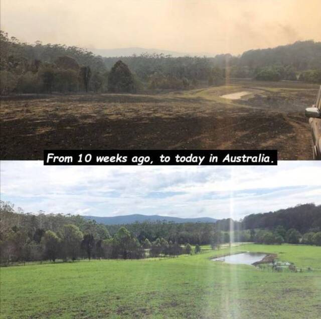 Bildschirmarbeiter - Picdump 24.01.2020