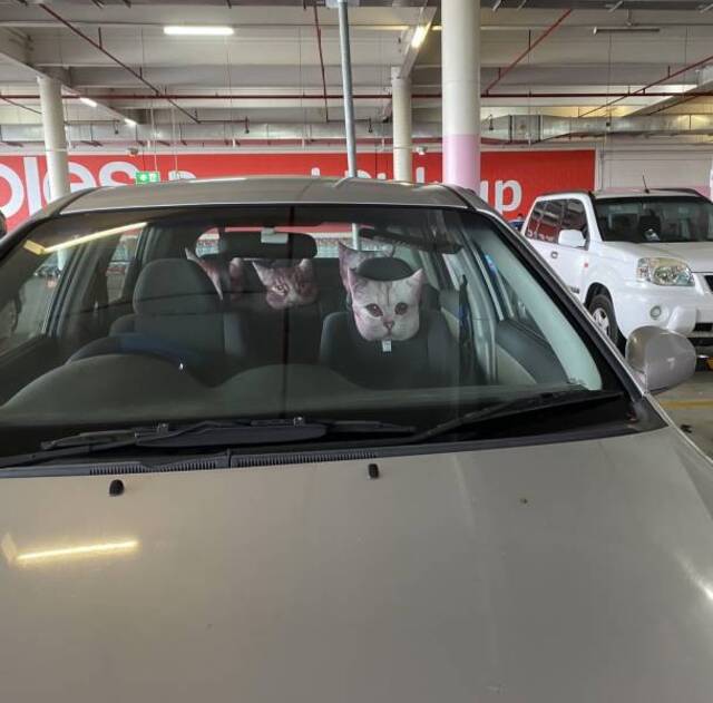 Bildschirmarbeiter - Picdump 24.01.2020