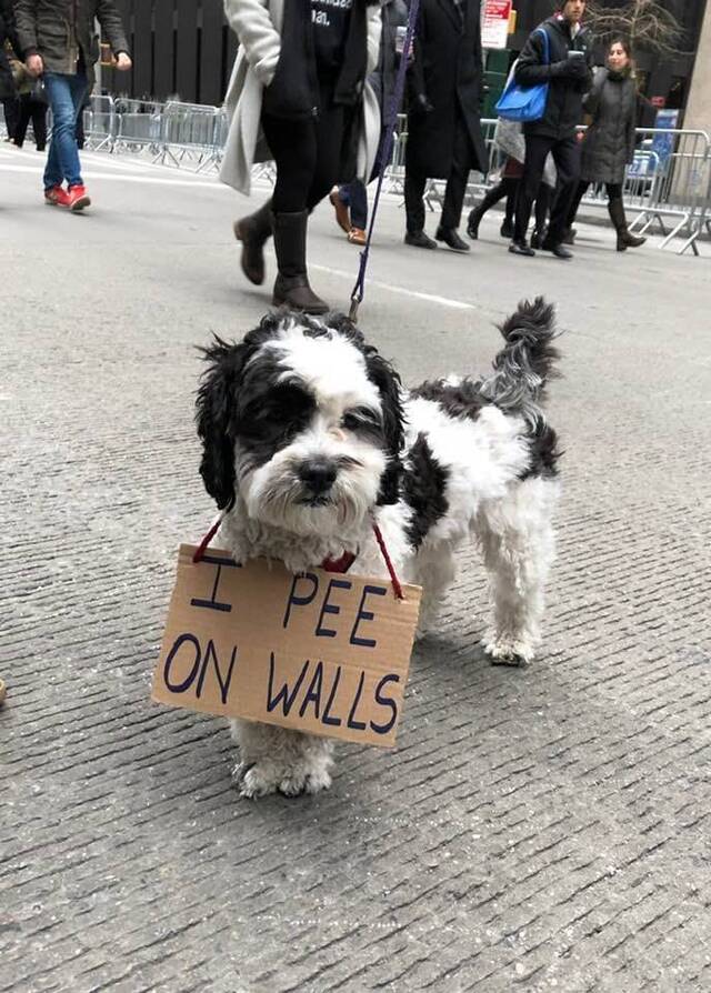 Bildschirmarbeiter - Picdump 24.01.2020