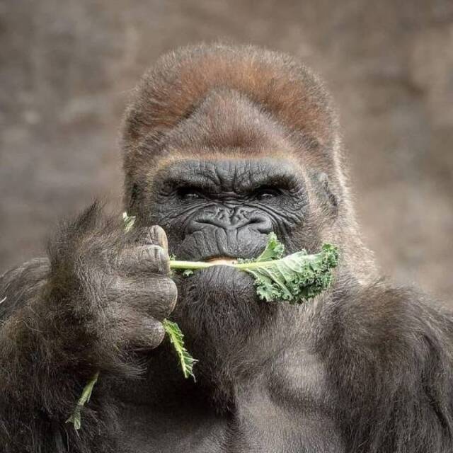 Bildschirmarbeiter - Picdump 24.01.2020