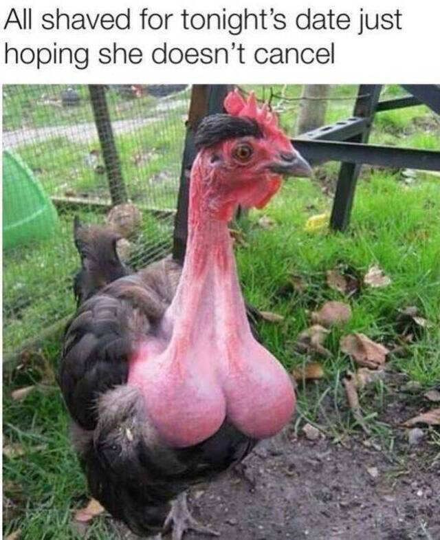 Bildschirmarbeiter - Picdump 24.01.2020