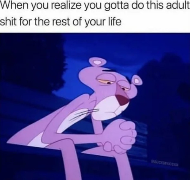 Bildschirmarbeiter - Picdump 31.01.2020