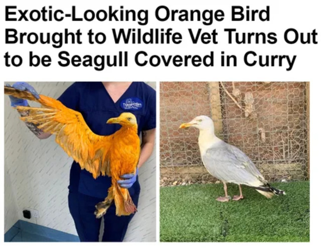 Bildschirmarbeiter - Picdump 31.01.2020