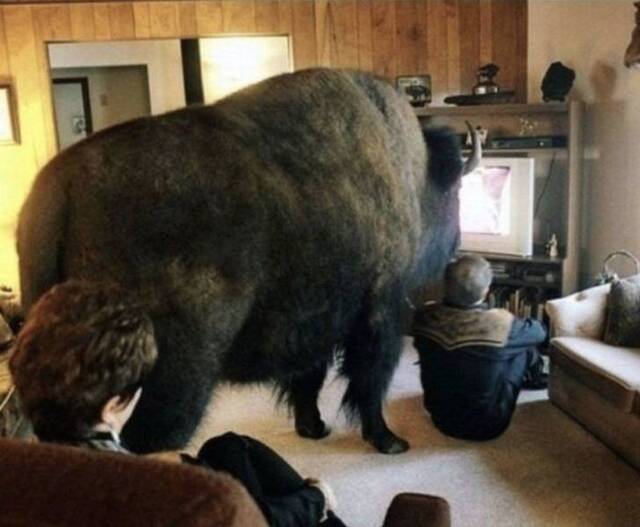 Bildschirmarbeiter - Picdump 31.01.2020