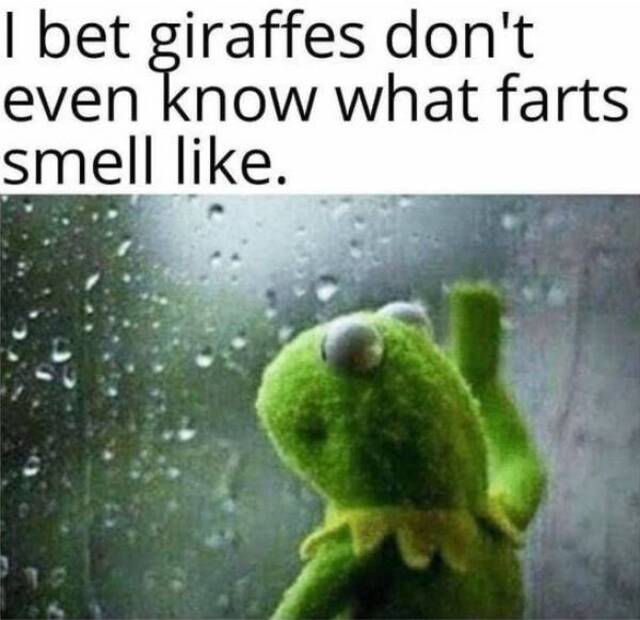 Bildschirmarbeiter - Picdump 31.01.2020