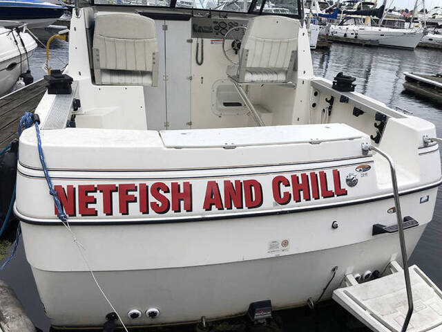 Bildschirmarbeiter - Picdump 31.01.2020