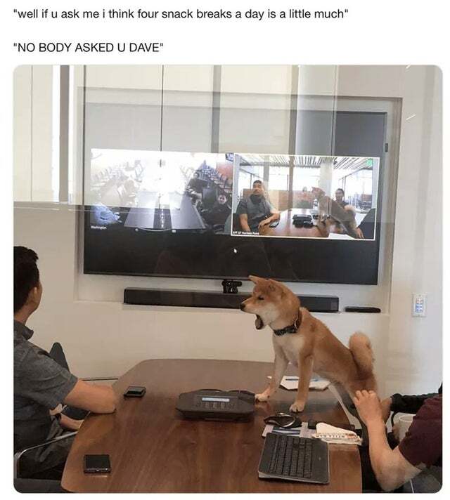 Bildschirmarbeiter - Picdump 31.01.2020