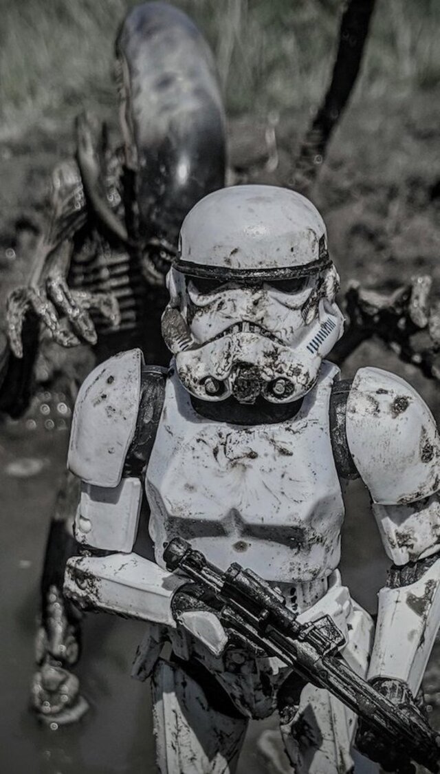 Bildschirmarbeiter - Picdump 31.01.2020