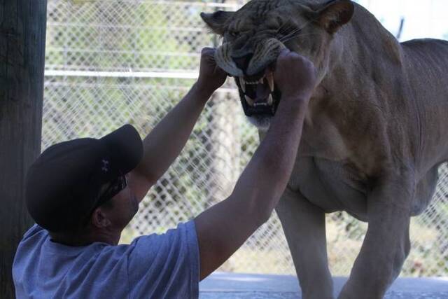 Bildschirmarbeiter - Picdump 07.02.2020