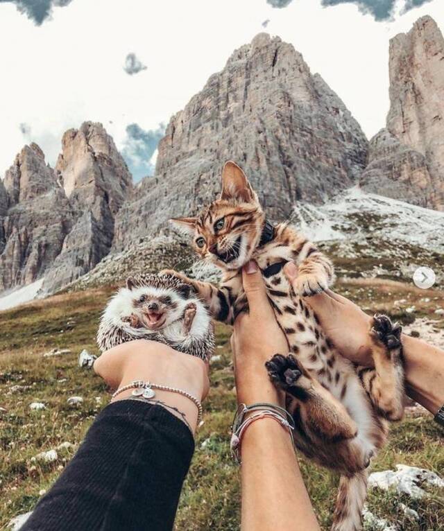 Bildschirmarbeiter - Picdump 07.02.2020