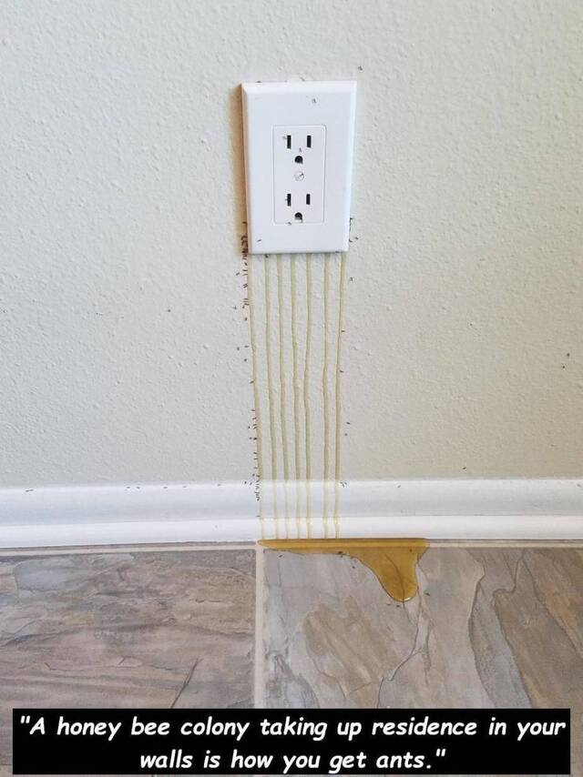 Bildschirmarbeiter - Picdump 07.02.2020