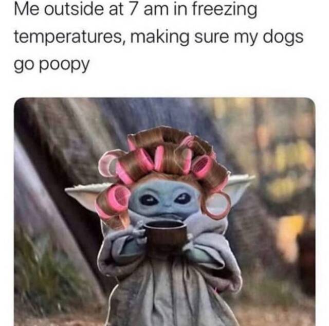 Bildschirmarbeiter - Picdump 07.02.2020