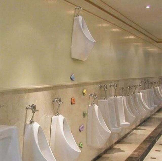 Bildschirmarbeiter - Picdump 07.02.2020