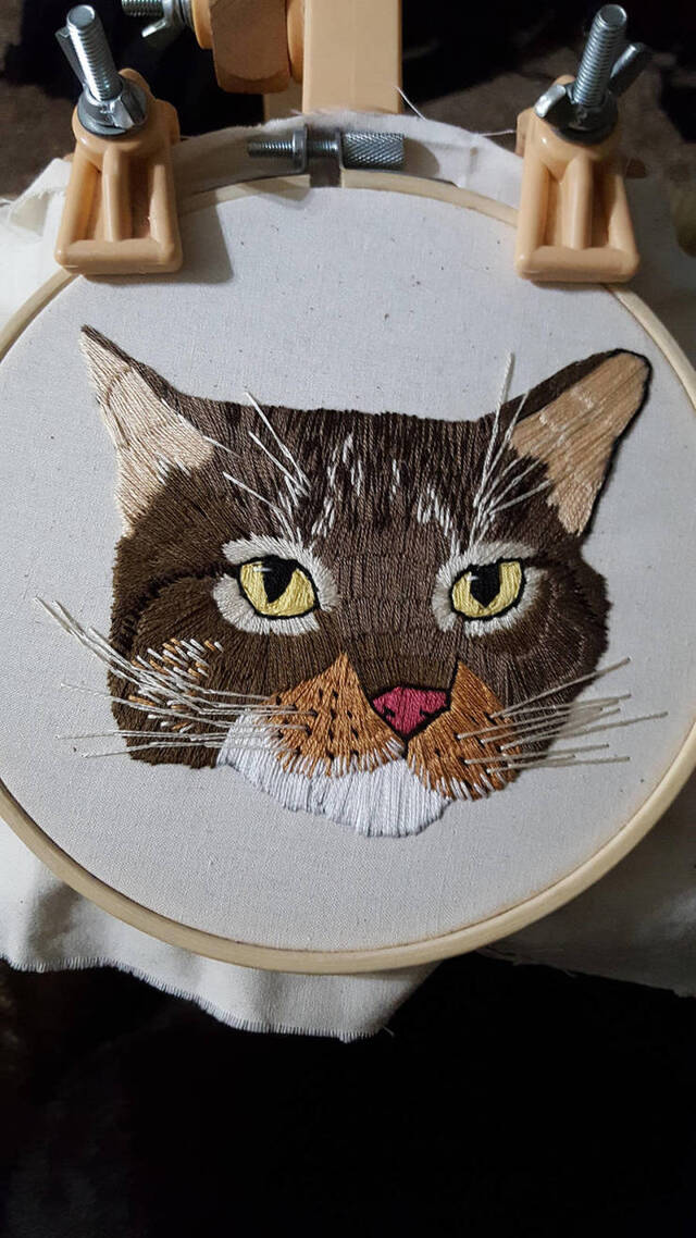 Bildschirmarbeiter - Picdump 07.02.2020