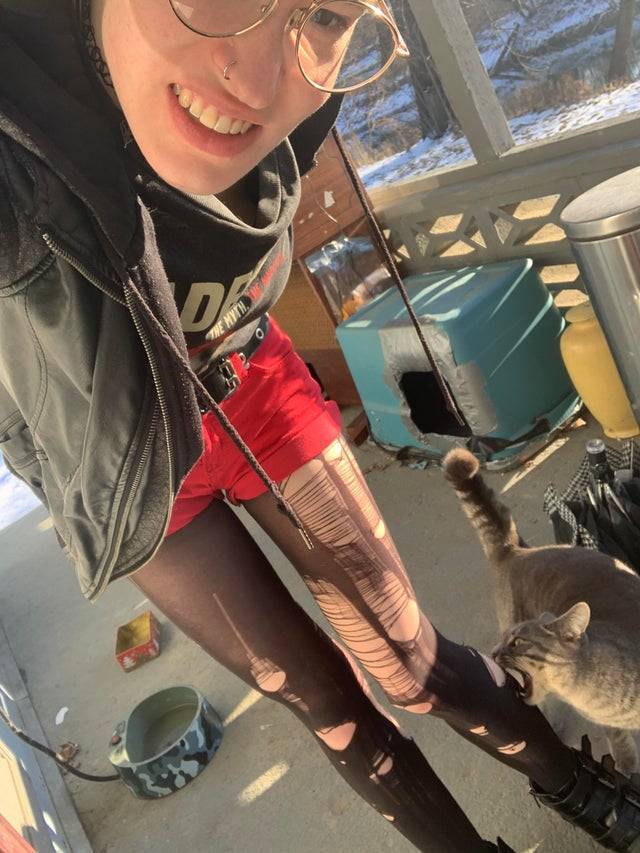 Bildschirmarbeiter - Picdump 07.02.2020