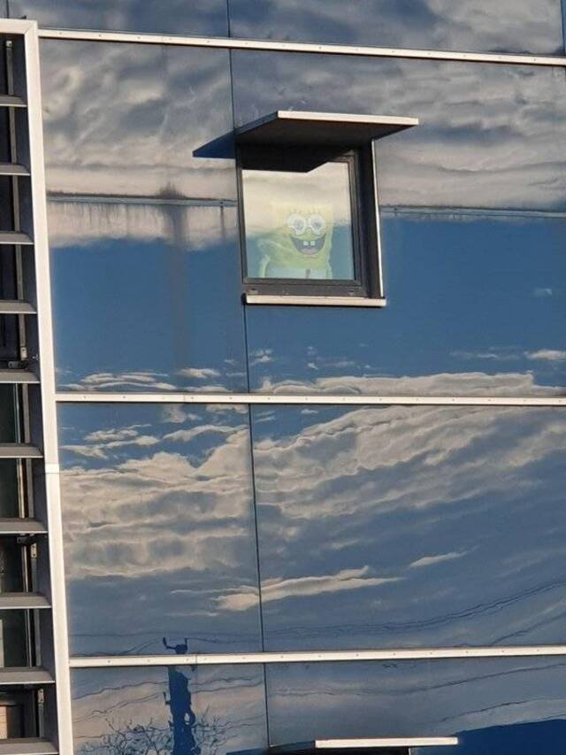 Bildschirmarbeiter - Picdump 07.02.2020