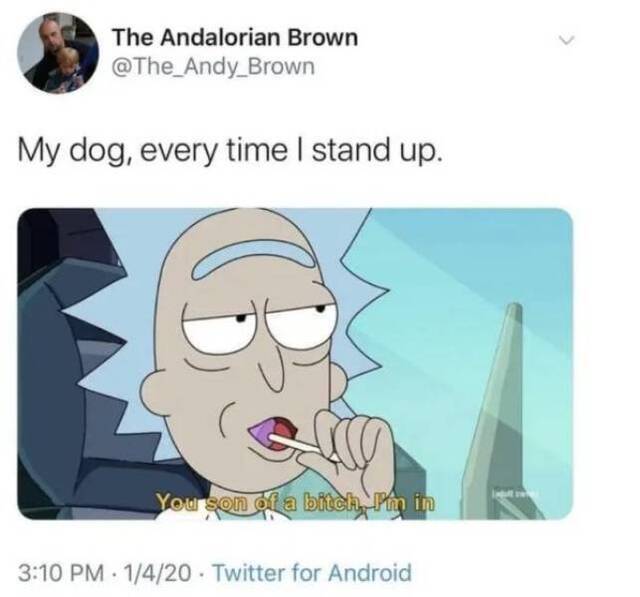 Bildschirmarbeiter - Picdump 07.02.2020