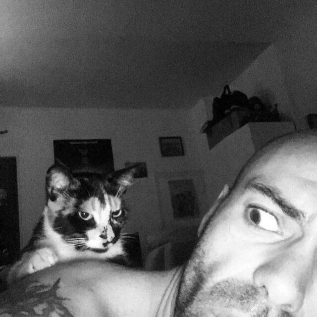 Bildschirmarbeiter - Picdump 07.02.2020