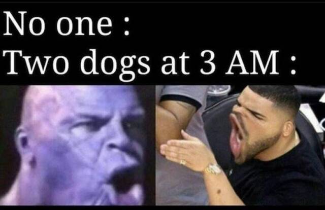 Bildschirmarbeiter - Picdump 07.02.2020