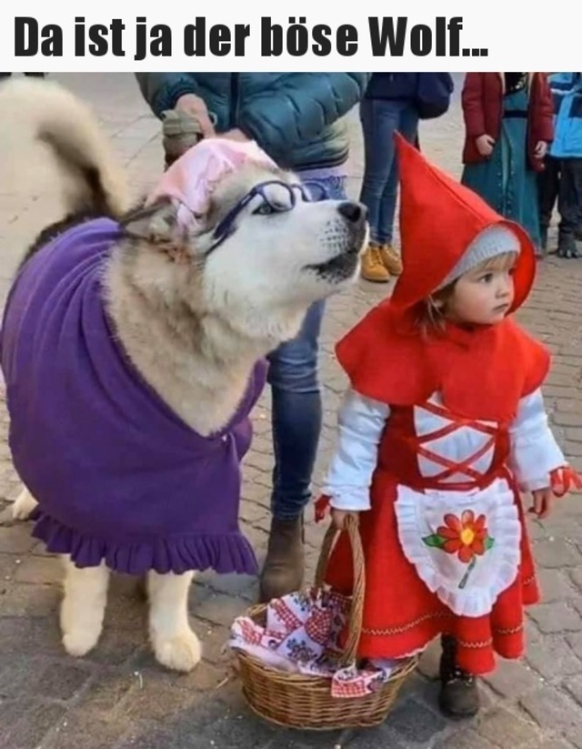 Bildschirmarbeiter - Picdump 28.02.2020