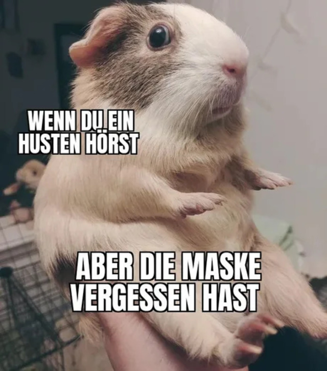 Bildschirmarbeiter - Picdump 28.02.2020