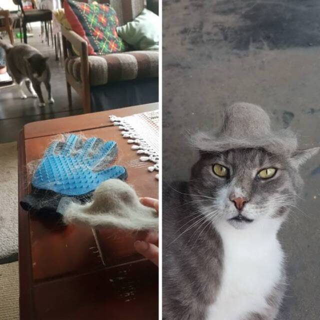 Bildschirmarbeiter - Picdump 28.02.2020