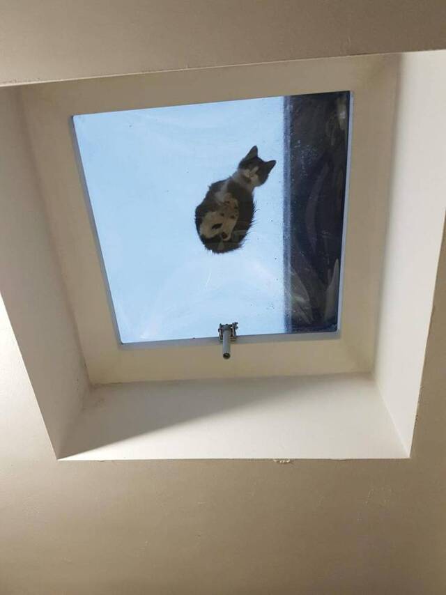 Bildschirmarbeiter - Picdump 28.02.2020