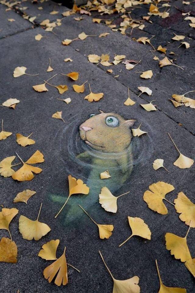 Bildschirmarbeiter - Picdump 28.02.2020