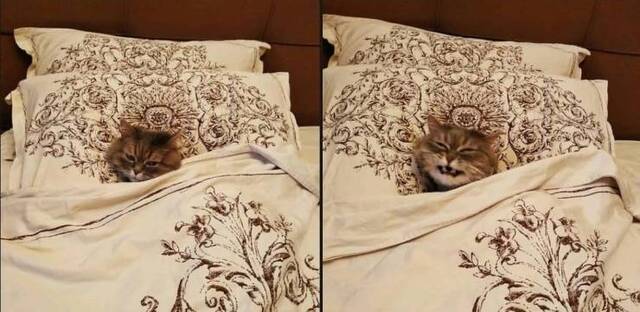 Bildschirmarbeiter - Picdump 28.02.2020