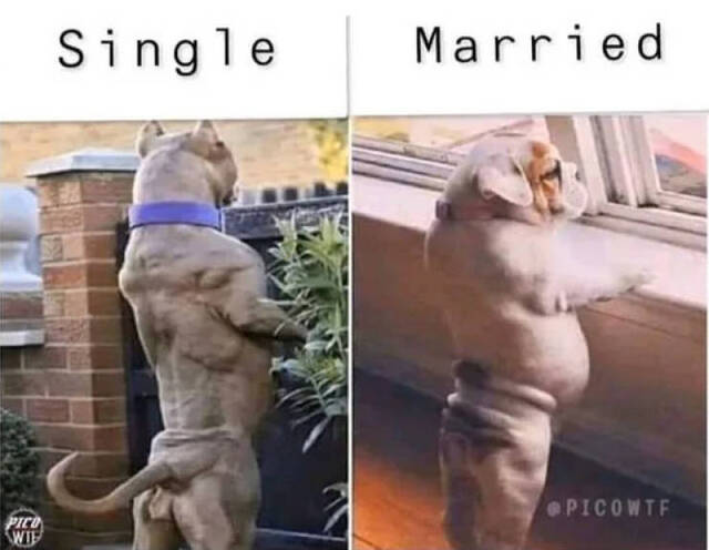 Bildschirmarbeiter - Picdump 28.02.2020