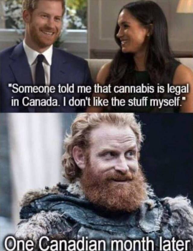 Bildschirmarbeiter - Picdump 28.02.2020