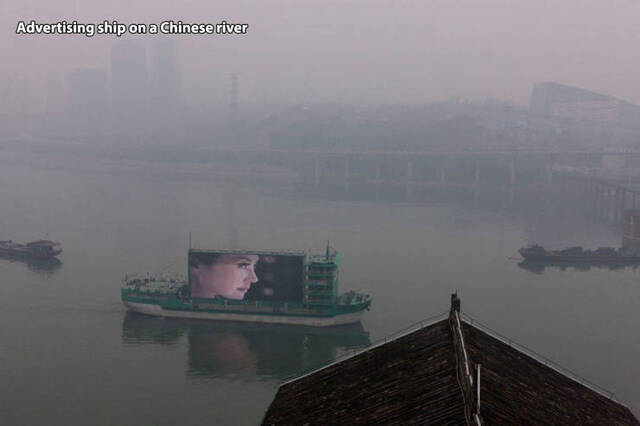 Bildschirmarbeiter - Picdump 28.02.2020