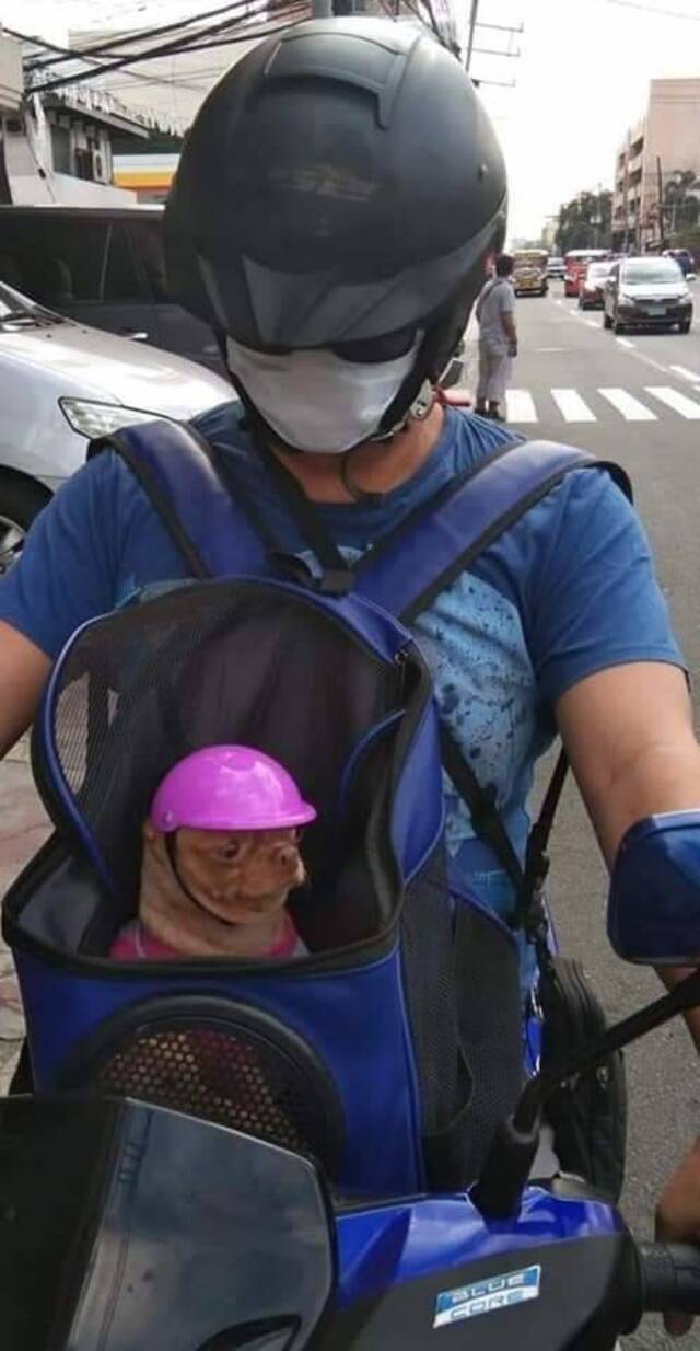 Bildschirmarbeiter - Picdump 28.02.2020