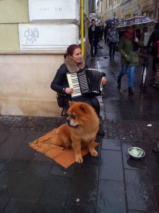 Bildschirmarbeiter - Picdump 28.02.2020