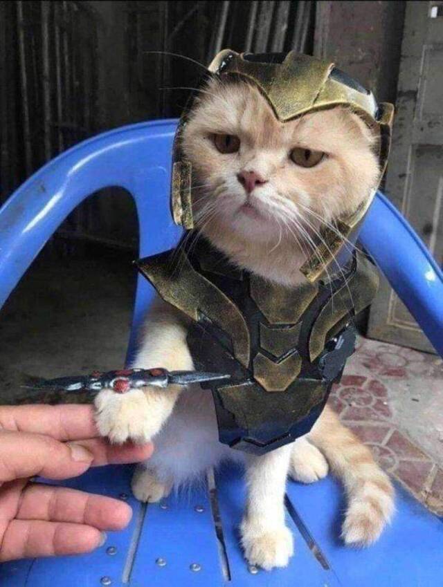 Bildschirmarbeiter - Picdump 06.03.2020