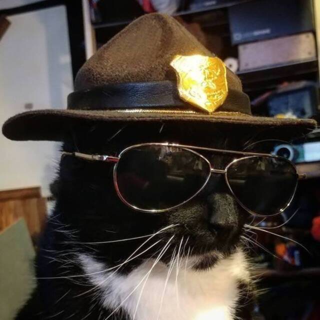 Bildschirmarbeiter - Picdump 06.03.2020