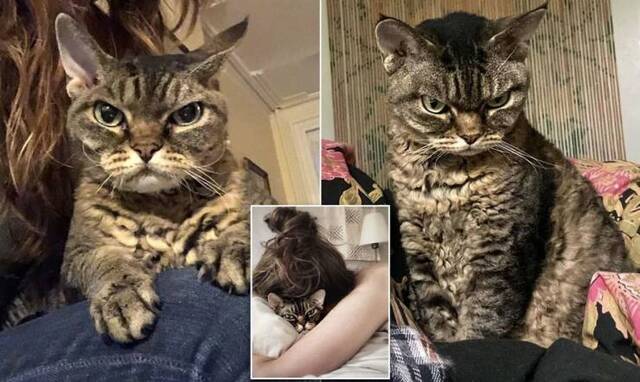 Bildschirmarbeiter - Picdump 06.03.2020