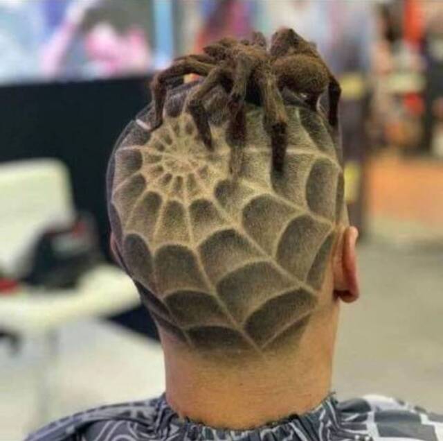 Bildschirmarbeiter - Picdump 06.03.2020