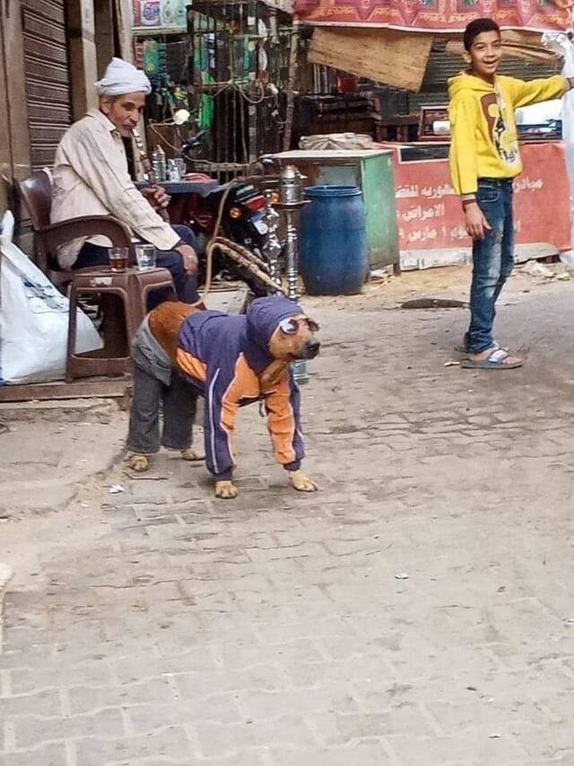 Bildschirmarbeiter - Picdump 06.03.2020