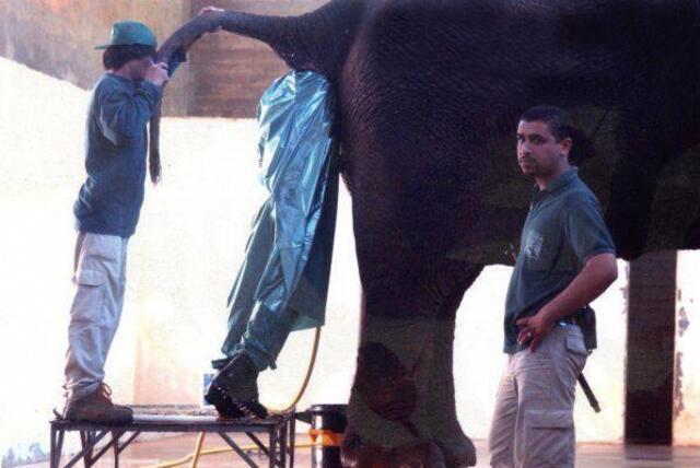 Bildschirmarbeiter - Picdump 06.03.2020